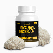 Lion's Mane Mushroom