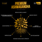 Premium Endurance Ashwaganda